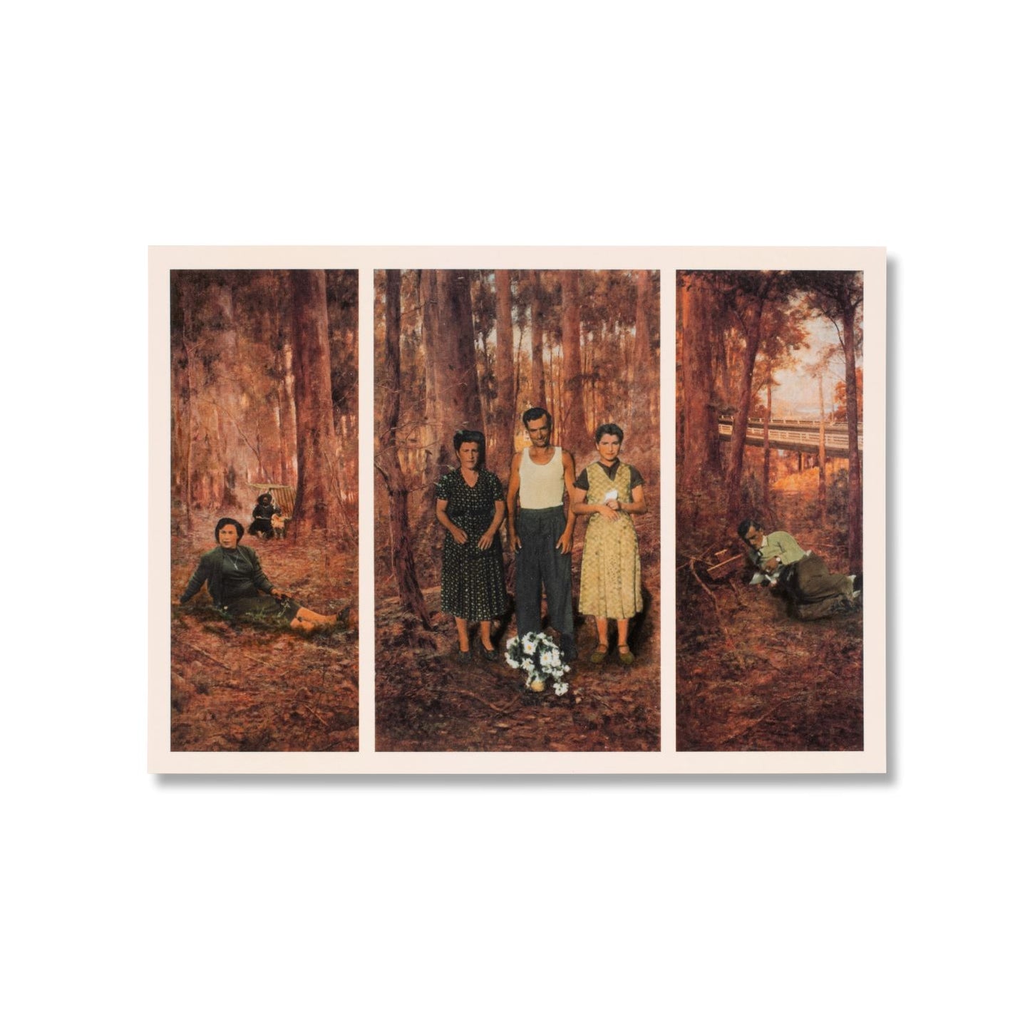 Large Postcards